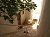 Apartments Katica, Pisak