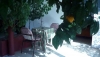 thumb_1094_non1.jpg