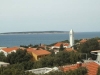 thumb_130_damirmandre4b.jpg