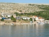 thumb_191_davorka.jpg