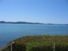 thumb_201_picture518.jpg