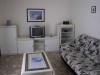 thumb_225_010.jpg