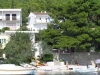 thumb_237_zivogosce.jpg