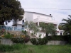thumb_375_5.jpg