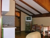thumb_387_2.jpg