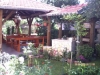 thumb_387_4.jpg