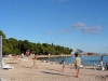 thumb_396_31.jpg