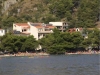 thumb_411_8.jpg