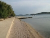 thumb_459_5.jpg