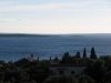 thumb_489_5.jpg