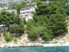 thumb_493_1.jpg