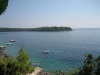 thumb_547_2.jpg