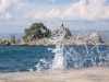 thumb_553_1.jpg