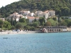 thumb_557_1.jpg