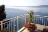 thumb_593_1.jpg