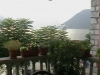 Apartments PANA