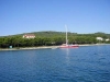 thumb_741_1.jpg