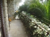 thumb_745_3.jpg