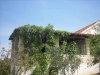 thumb_746_1.jpg