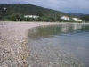 thumb_769_w1.jpg