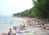 thumb_791_1.jpg