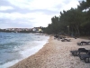thumb_805_2.jpg