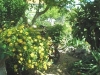 thumb_833_5.jpg