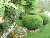 thumb_875_5.jpg