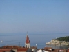thumb_977_2.jpg